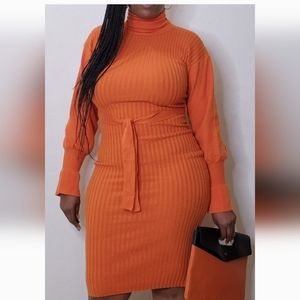Sweater Dress